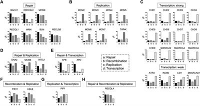 Mammalian Resilience Revealed by a Comparison of Human Diseases and Mouse Models Associated With DNA Helicase Deficiencies